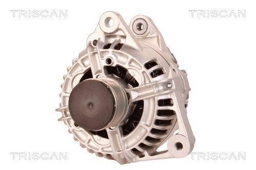 Alternador Triscan A/S 8310 23012