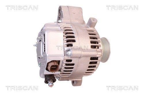 Alternateur Triscan A/S 8310 23024