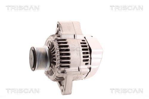 Alternateur Triscan A/S 8310 23024