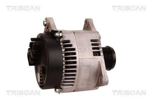 Alternateur Triscan A/S 8310 23034