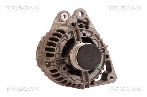 Alternateur Triscan A/S 8310 23043