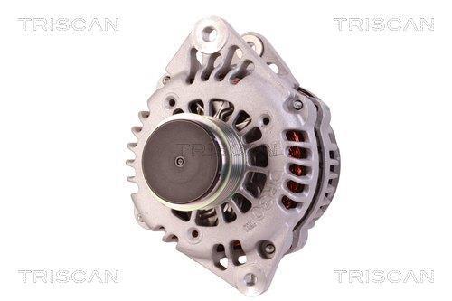 Alternateur Triscan A/S 8310 23044