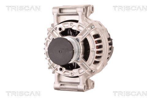 Alternateur Triscan A/S 8310 23063