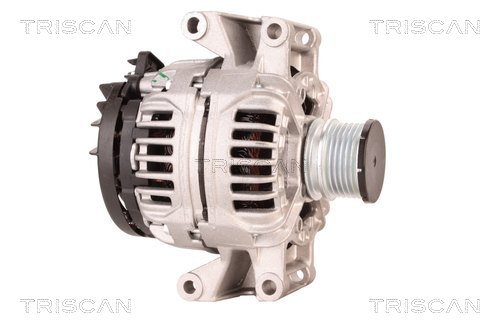 Alternateur Triscan A/S 8310 23063