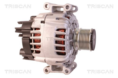 Alternateur Triscan A/S 8310 23065