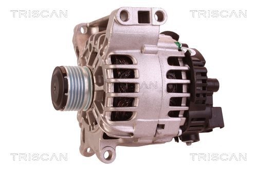 Alternateur Triscan A/S 8310 23067