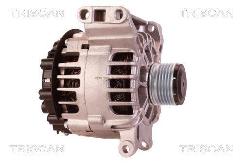Alternateur Triscan A/S 8310 23067