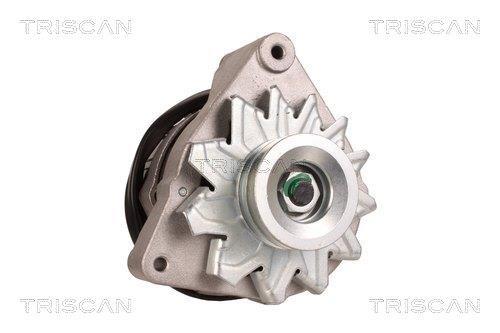 Alternateur Triscan A/S 8310 24001