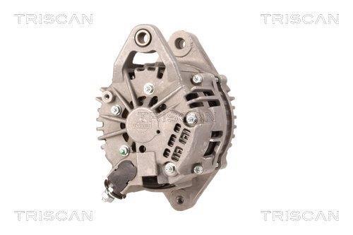 Alternateur Triscan A/S 8310 24005