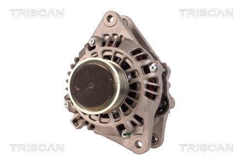 Alternateur Triscan A/S 8310 24005