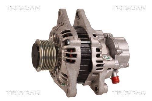 Alternateur Triscan A/S 8310 24005