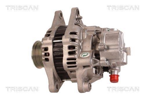 Alternateur Triscan A/S 8310 24005