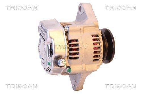 Alternateur Triscan A/S 8310 24006