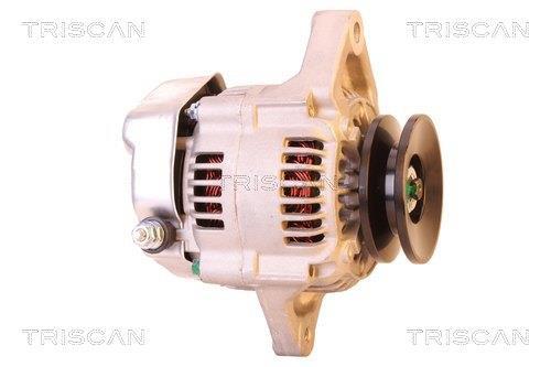 Alternateur Triscan A/S 8310 24006