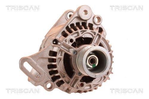 Alternateur Triscan A/S 8310 24011