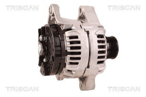 Alternateur Triscan A/S 8310 24014