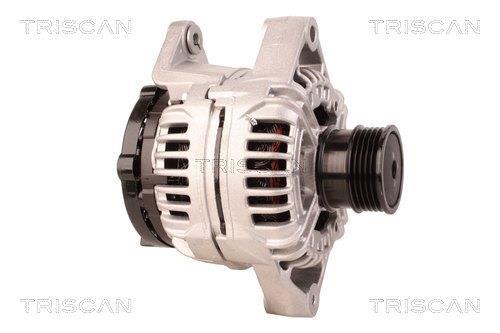 Alternateur Triscan A/S 8310 24014