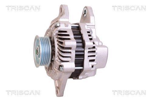 Alternateur Triscan A/S 8310 24014