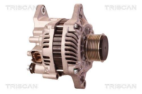 Alternateur Triscan A/S 8310 24015