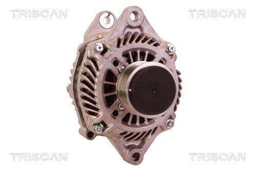 Alternateur Triscan A/S 8310 24015