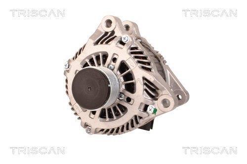 Alternateur Triscan A/S 8310 24015