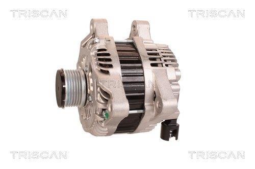 Alternateur Triscan A/S 8310 24015