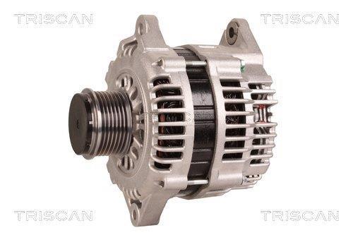 Alternateur Triscan A/S 8310 24016