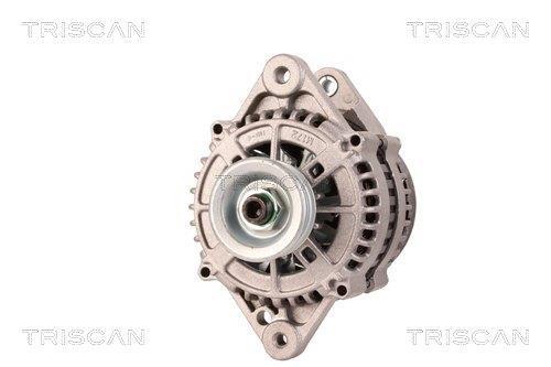 Alternateur Triscan A/S 8310 24017