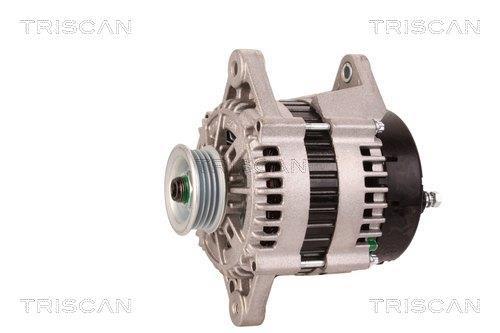 Alternateur Triscan A/S 8310 24017