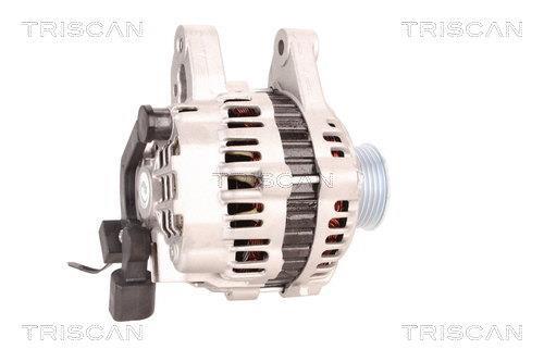 Alternateur Triscan A/S 8310 24020