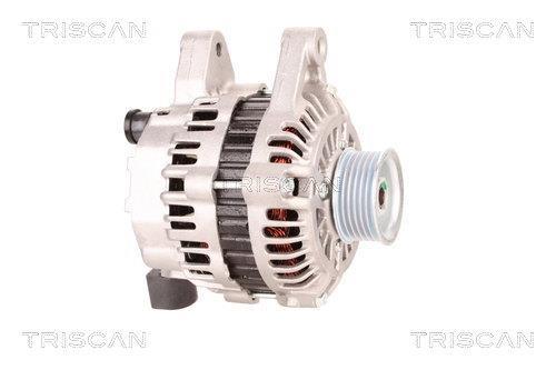 Alternateur Triscan A/S 8310 24020
