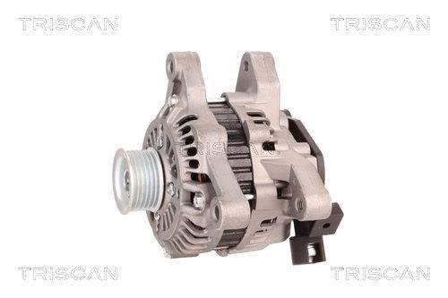 Alternateur Triscan A/S 8310 24020