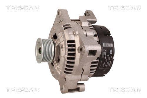 Alternateur Triscan A/S 8310 24026