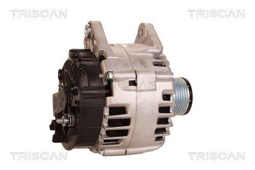 Alternateur Triscan A/S 8310 24027