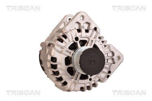 Alternateur Triscan A/S 8310 24027