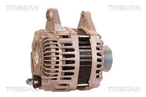Alternateur Triscan A/S 8310 24029