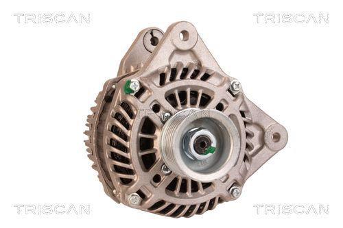 Alternateur Triscan A/S 8310 24029