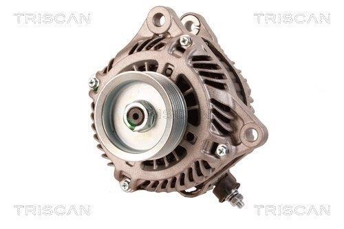 Alternateur Triscan A/S 8310 24029