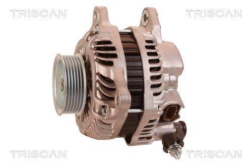 Alternateur Triscan A/S 8310 24029
