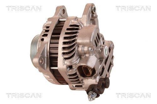 Alternateur Triscan A/S 8310 24029