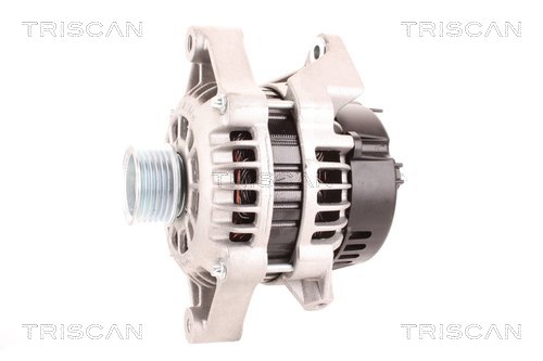 Alternateur Triscan A/S 8310 24031