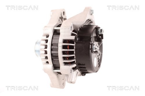 Alternateur Triscan A/S 8310 24031