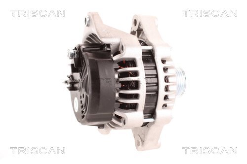 Alternateur Triscan A/S 8310 24031