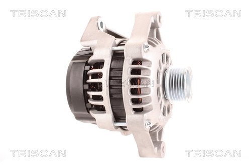 Alternateur Triscan A/S 8310 24031