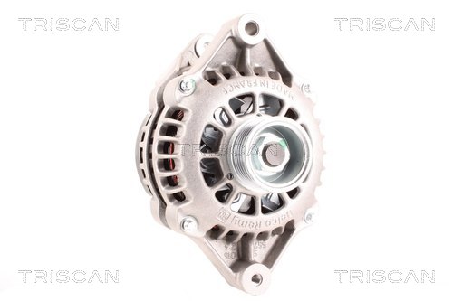 Alternateur Triscan A/S 8310 24031