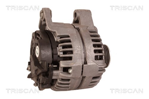 Alternateur Triscan A/S 8310 24032
