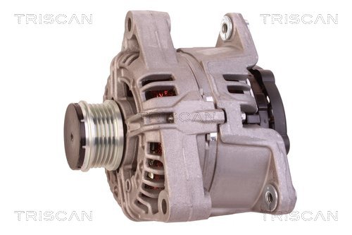 Alternateur Triscan A/S 8310 24033