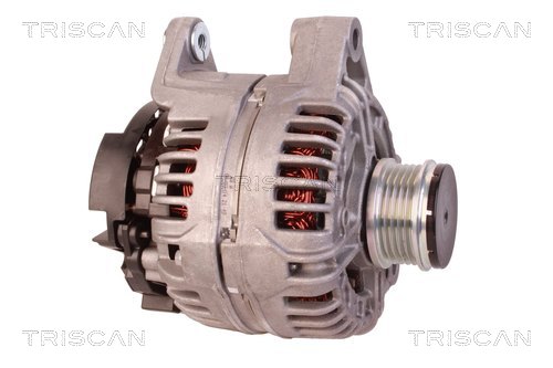 Alternateur Triscan A/S 8310 24033