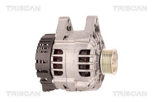 Alternateur Triscan A/S 8310 24034