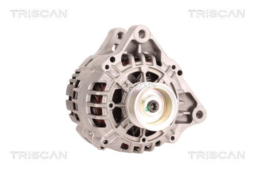 Alternateur Triscan A/S 8310 24034